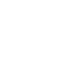 V-White V-White